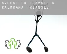 Avocat du travail à  Kalorama Triangle