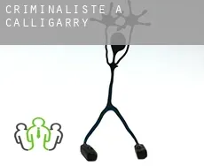 Criminaliste à  Calligarry