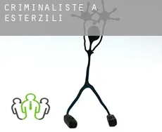 Criminaliste à  Esterzili