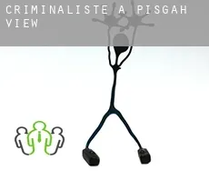 Criminaliste à  Pisgah View