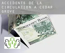 Accidents de la circulation à  Cedar Grove