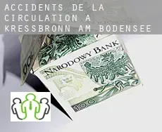 Accidents de la circulation à  Kressbronn am Bodensee