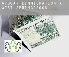 Avocat d'immigration à West Springbrook