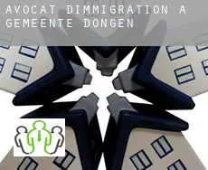 Avocat d'immigration à  Gemeente Dongen
