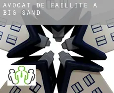 Avocat de faillite à  Big Sand