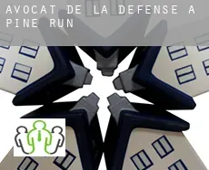 Avocat de la défense à  Pine Run
