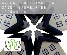 Avocat du travail à Saint-Sauveur-de-Carrouges