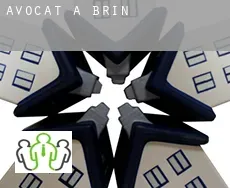 Avocat à  Brin