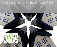 Avocat à Ciudad Juárez