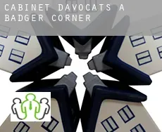 Cabinet d'avocats à  Badger Corner