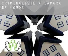 Criminaliste à  Câmara de Lobos