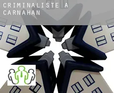 Criminaliste à  Carnahan