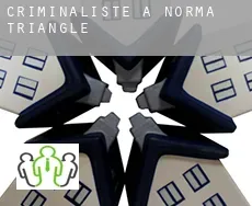 Criminaliste à  Norma Triangle