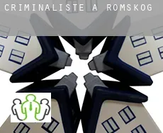 Criminaliste à  Rømskog