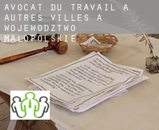 Avocat du travail à  Autres Villes à Wojewodztwo Malopolskie