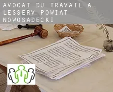 Avocat du travail à  Powiat nowosadecki (Lesser Poland Voivodeship)