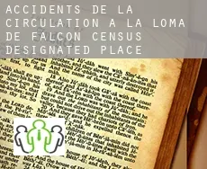 Accidents de la circulation à  La Loma de Falcon