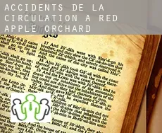 Accidents de la circulation à  Red Apple Orchard