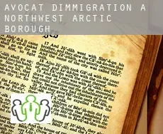 Avocat d'immigration à  Northwest Arctic