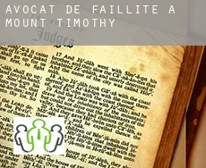 Avocat de faillite à  Mount Timothy