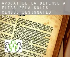 Avocat de la défense à Elias-Fela Solis