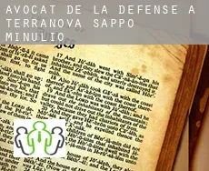 Avocat de la défense à Terranova Sappo Minulio