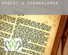 Avocat à  Sabanalarga