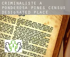 Criminaliste à  Ponderosa Pines
