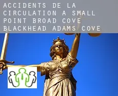 Accidents de la circulation à  Small Point-Broad Cove-Blackhead-Adams Cove