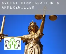 Avocat d'immigration à Ammerzwiller