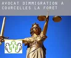 Avocat d'immigration à  Courcelles-la-Forêt
