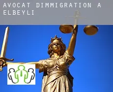 Avocat d'immigration à  Elbeyli