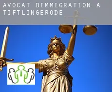 Avocat d'immigration à  Tiftlingerode