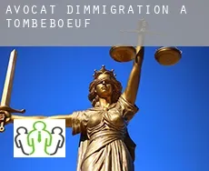 Avocat d'immigration à Tombebœuf