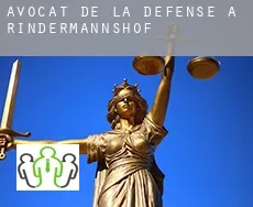 Avocat de la défense à Rindermannshof