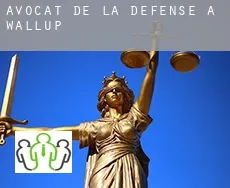 Avocat de la défense à  Wallup