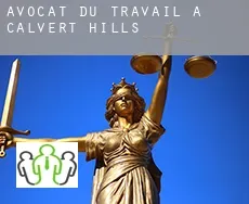 Avocat du travail à  Calvert Hills