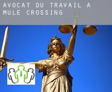 Avocat du travail à  Mule Crossing