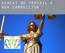 Avocat du travail à  New Carrollton