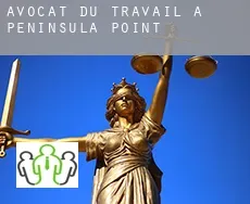 Avocat du travail à  Peninsula Point