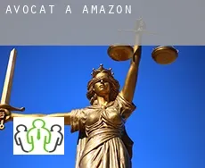 Avocat à  Amazon