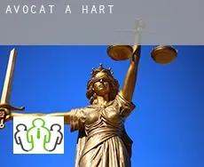 Avocat à  Hart