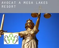Avocat à  Mesa Lakes Resort