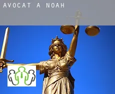 Avocat à  Noah
