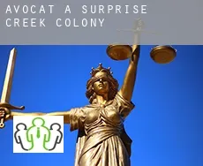 Avocat à Surprise Creek Colony