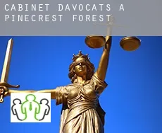 Cabinet d'avocats à  Pinecrest Forest