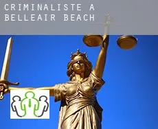 Criminaliste à  Belleair Beach