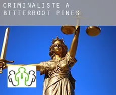 Criminaliste à  Bitterroot Pines