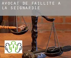 Avocat de faillite à  La Seignardie