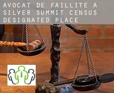 Avocat de faillite à  Silver Summit